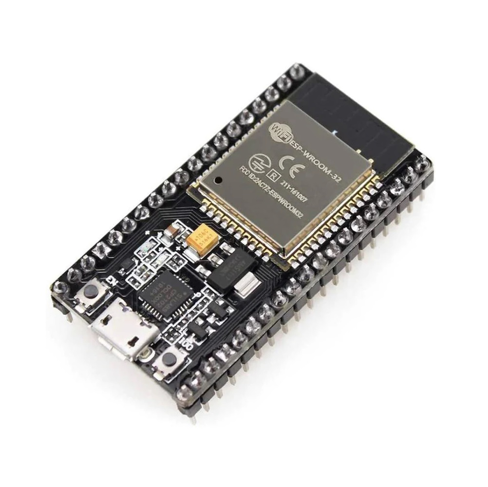 ESP 32